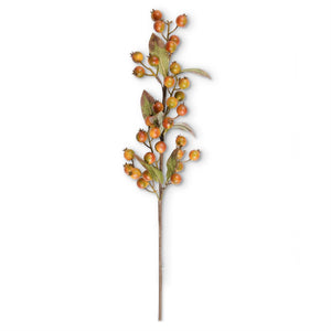 Rosehip Stem | Orange w/Green