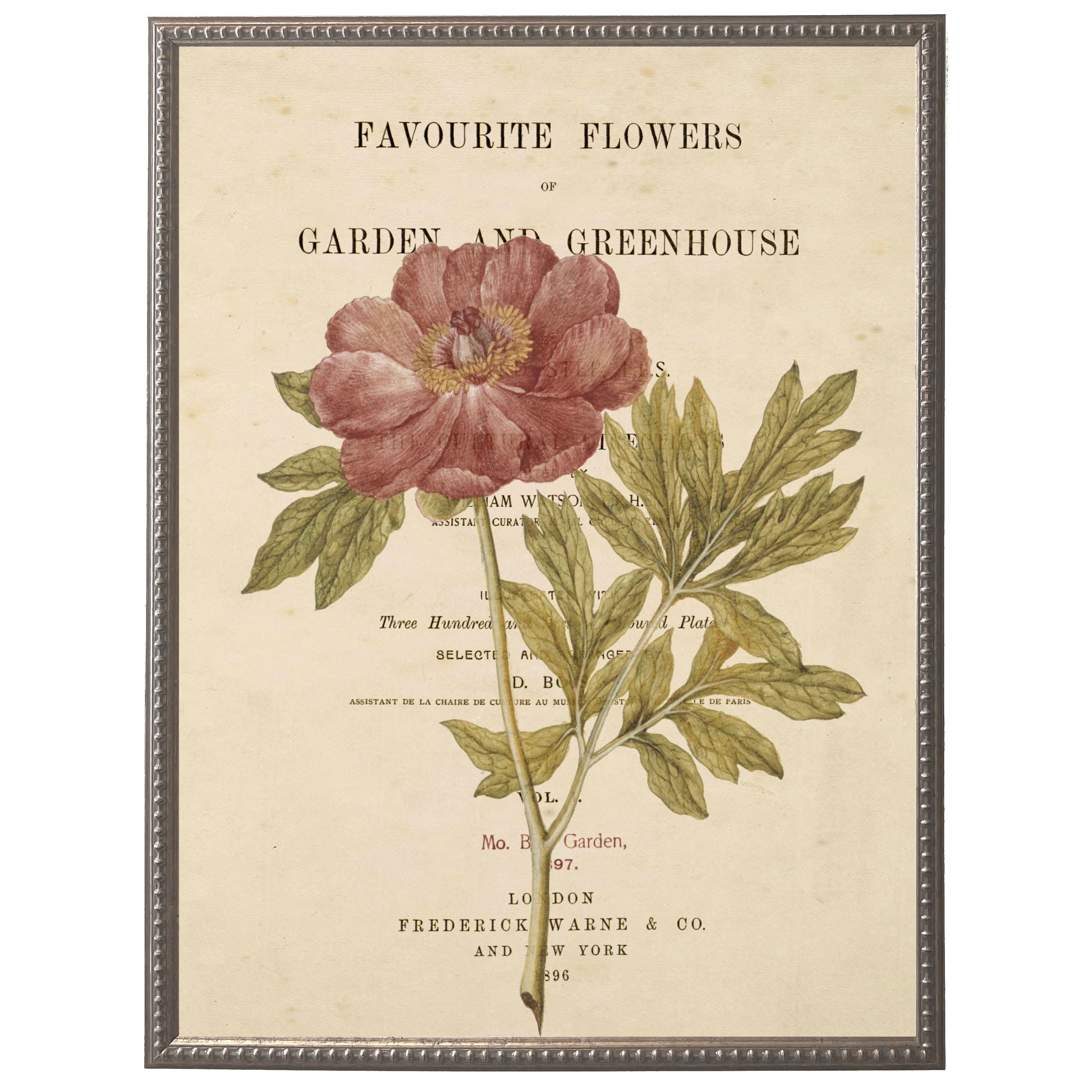 Vintage Floral & Butterfly Print | 8" x 10"