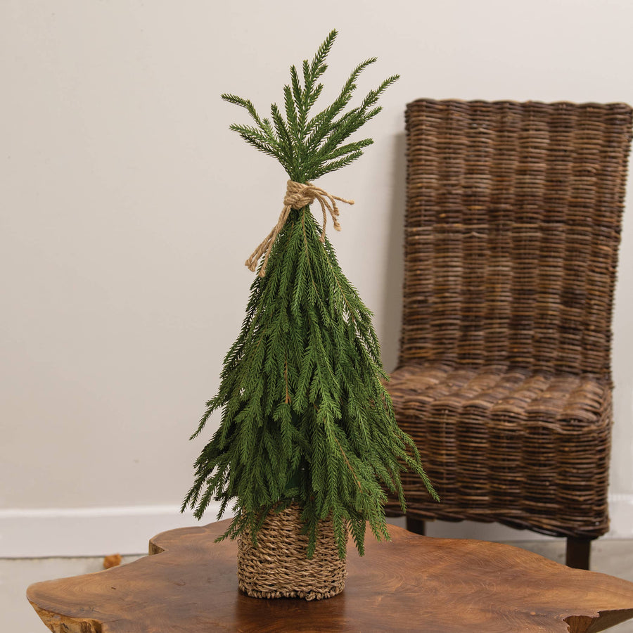Drooping Soft Touch Austrian Pine Tree in Basket | 25"