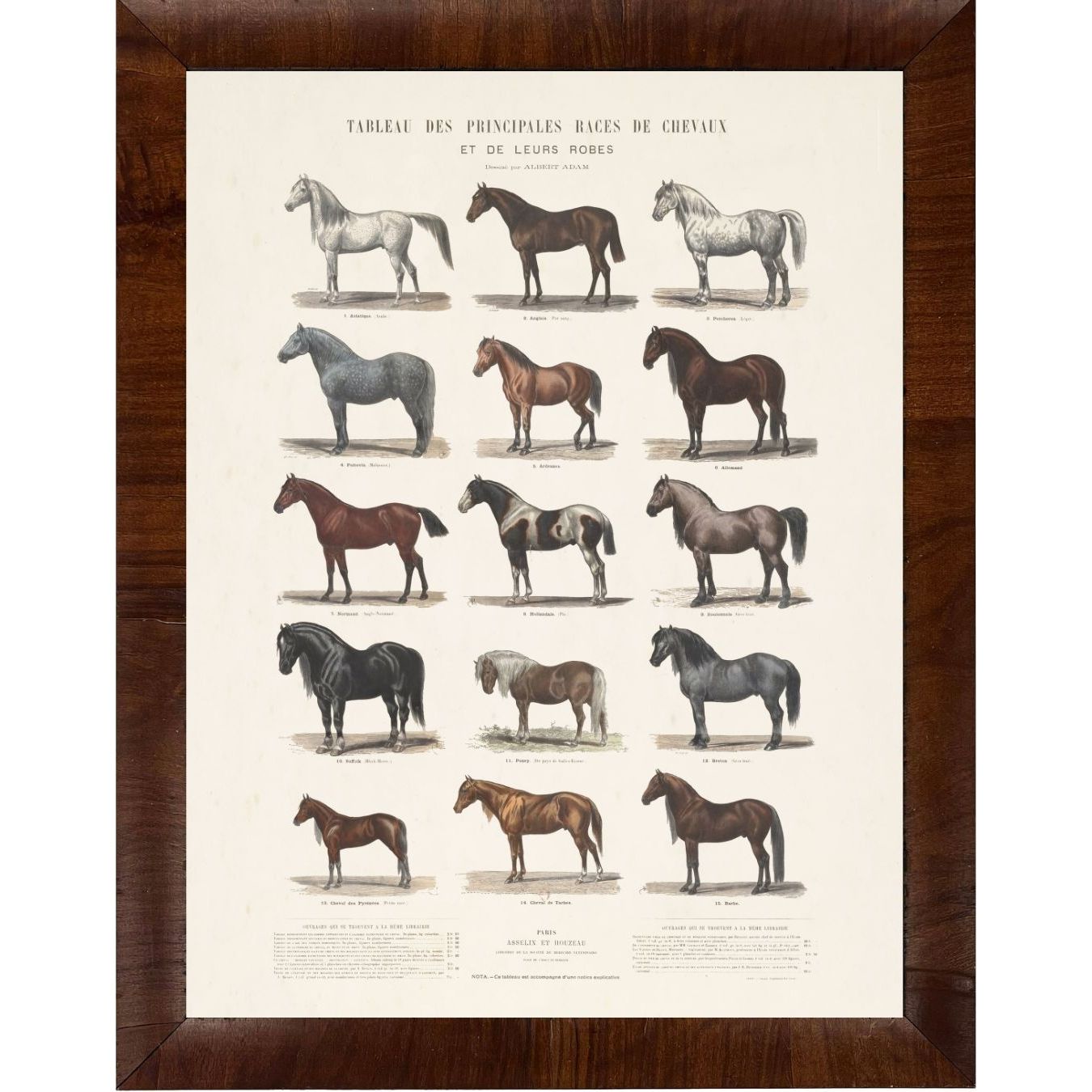 Vintage Horse Chart