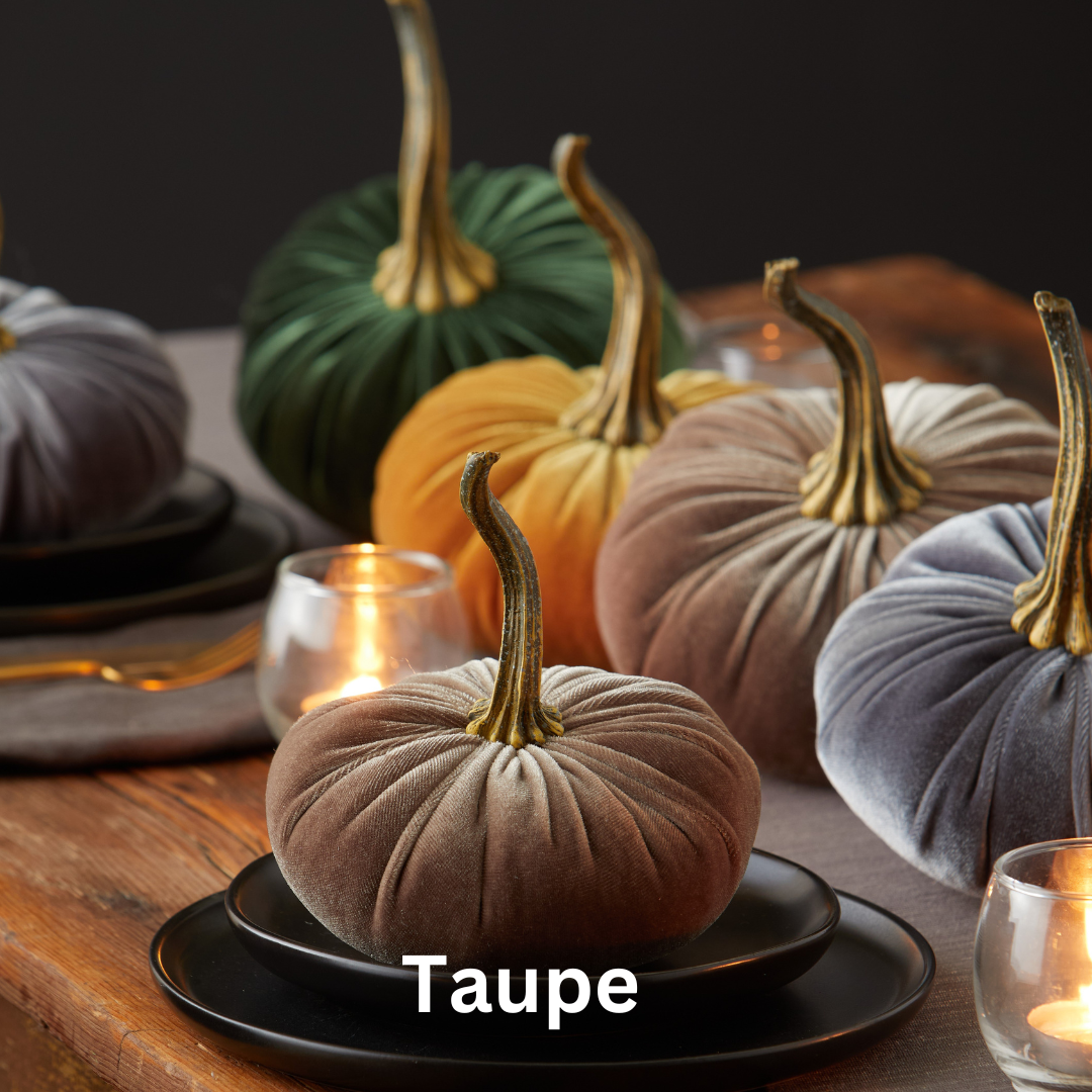 Velvet  Pumpkin | Small - Avocado