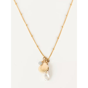 Seashell Necklace