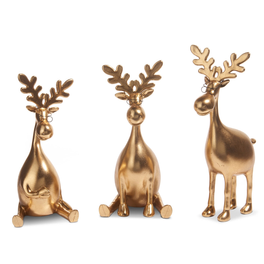 Bespectacled Gold Moose