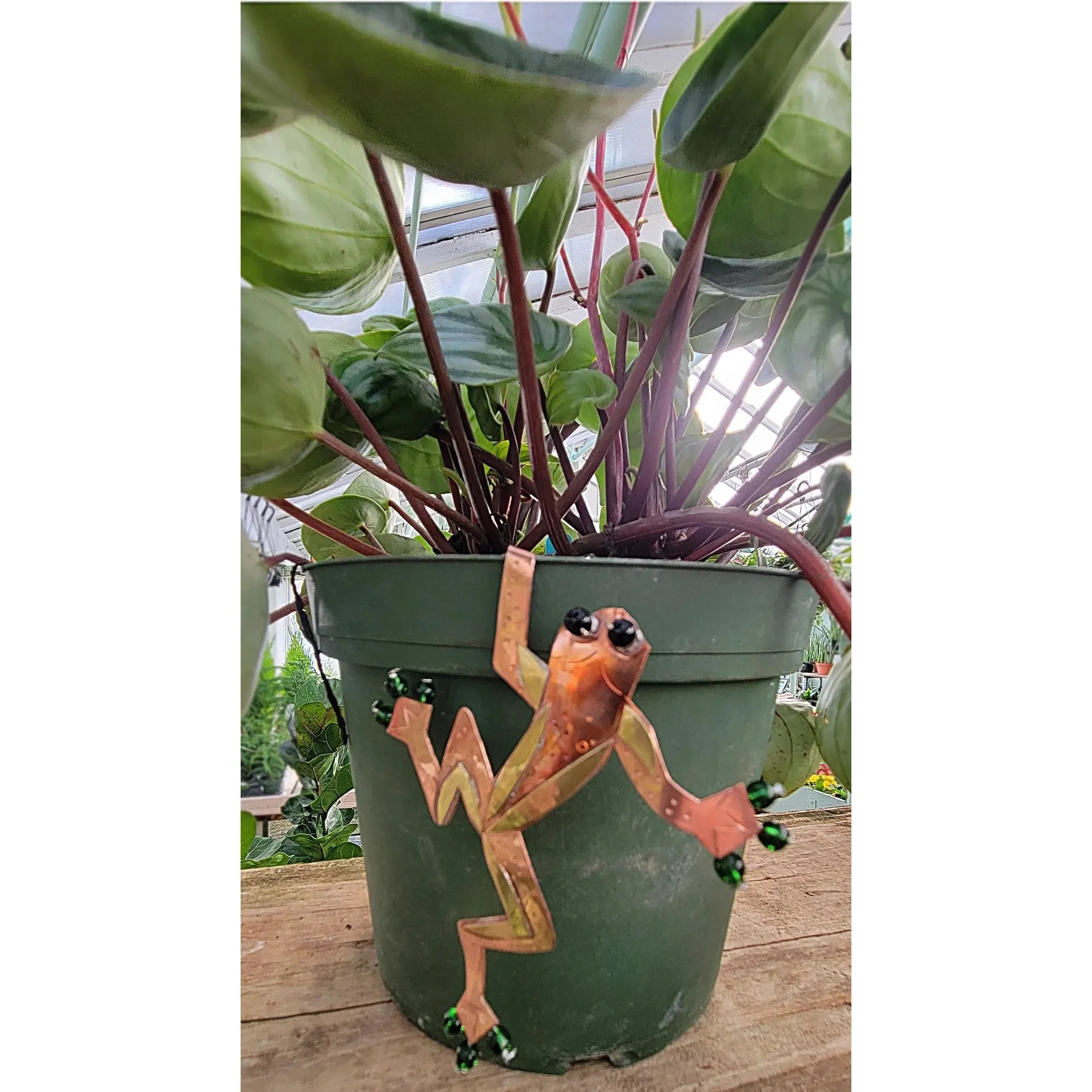 Plant Art Pot Hugger
