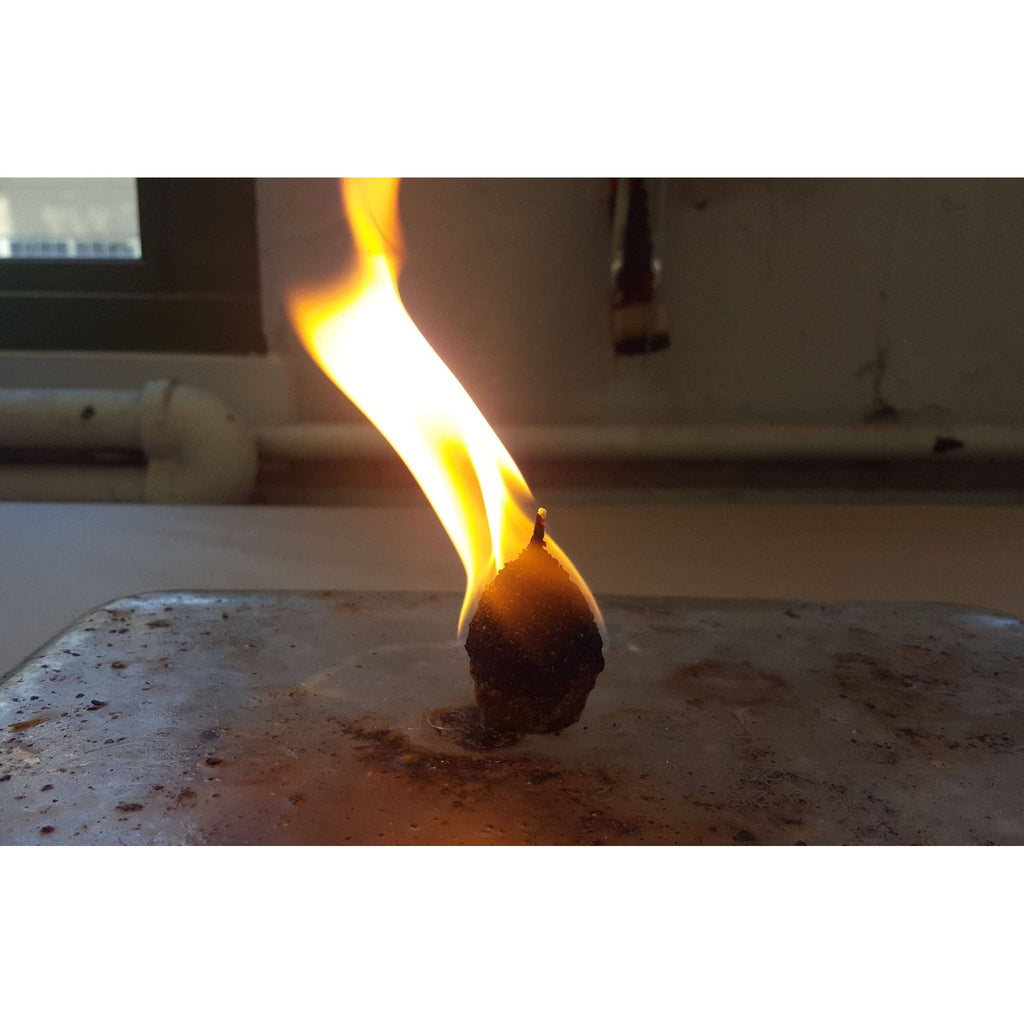 Pine Cone Fire Starters | Rosemary