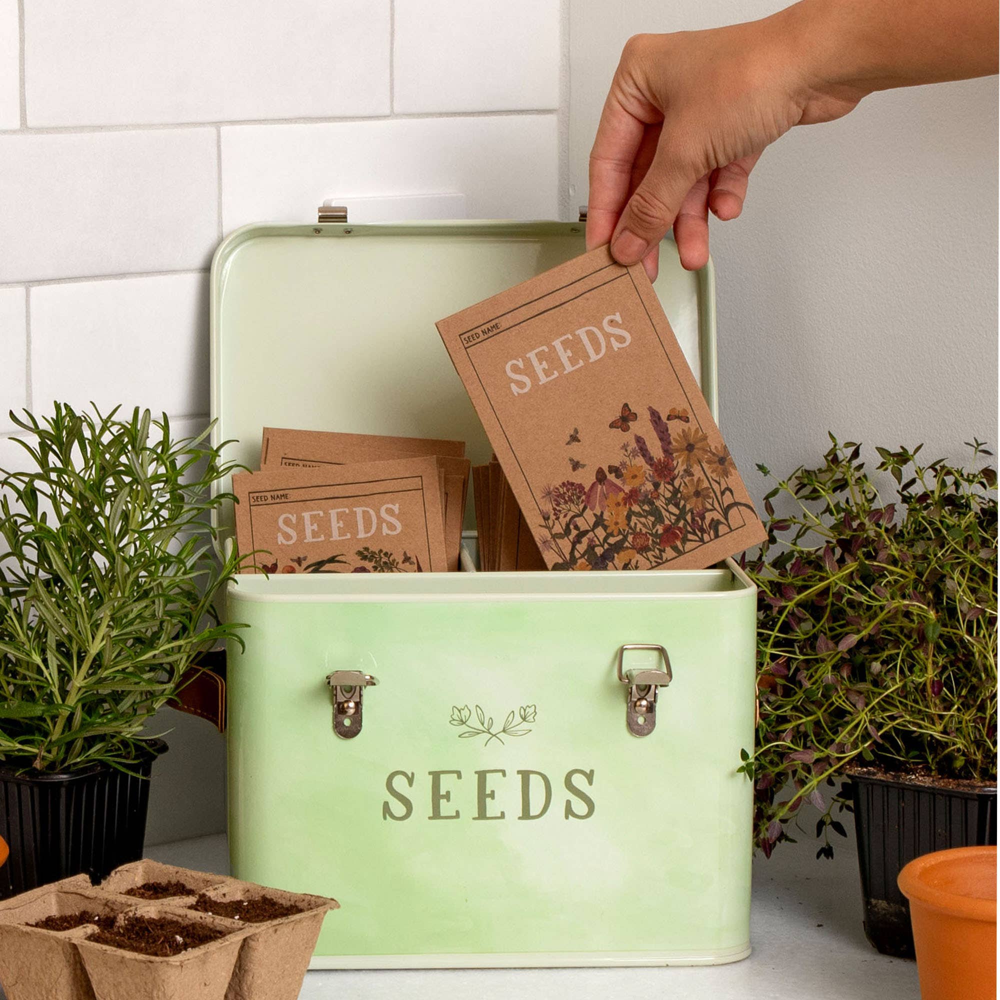 Tin Seed Box | Green Thumb