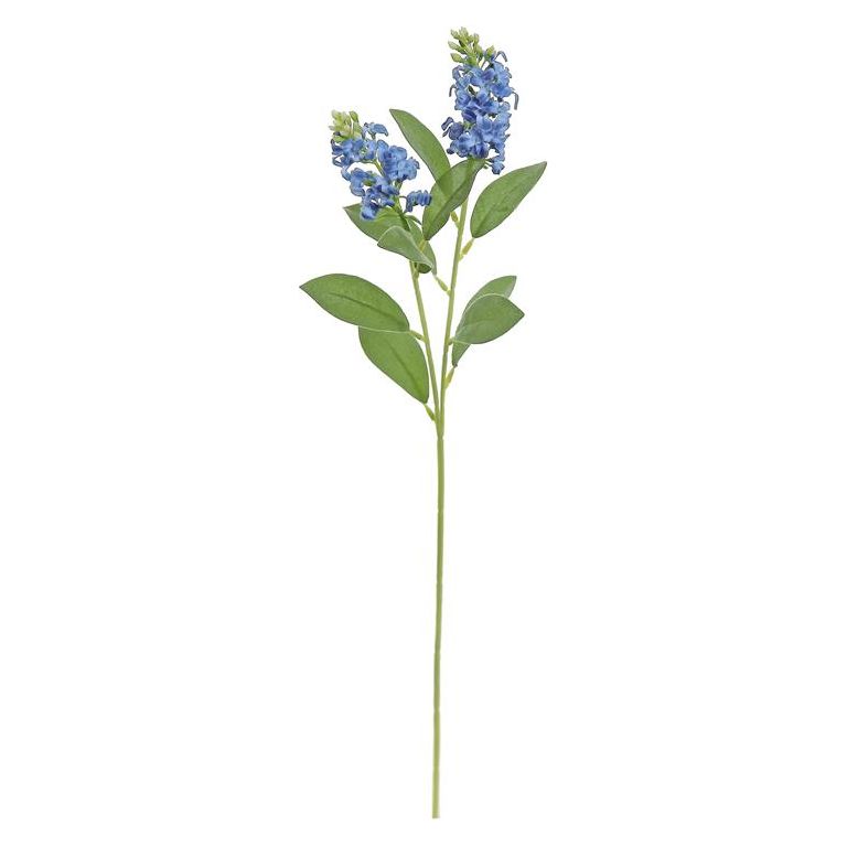 Blue Bonnet Spray