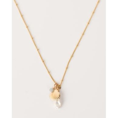 Seashell Necklace