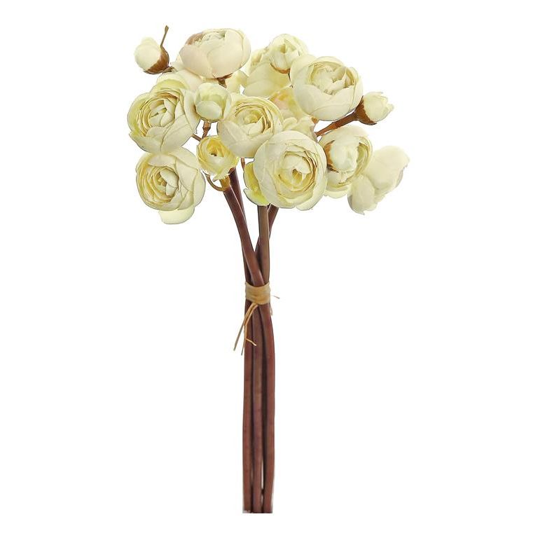 Bundle of 5 Ranunculus