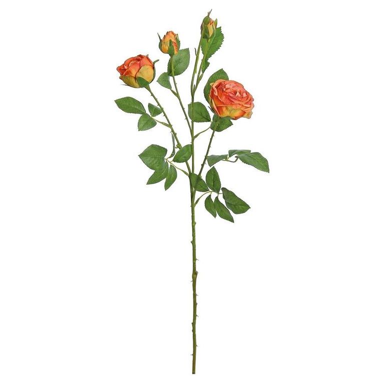 Cabbage Rose Spray | Orange