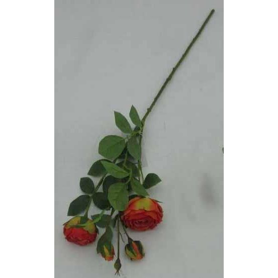 Cabbage Rose Spray | Orange