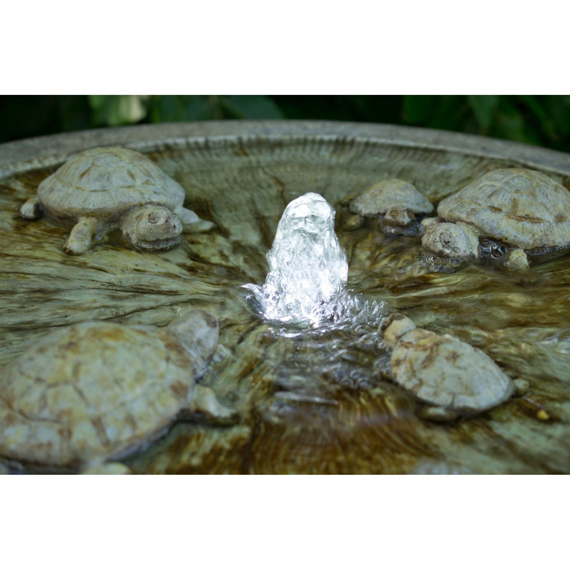 Gathering Turtles Fountain