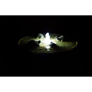 Gathering Turtles Fountain