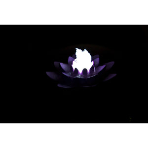Lotus Fountain