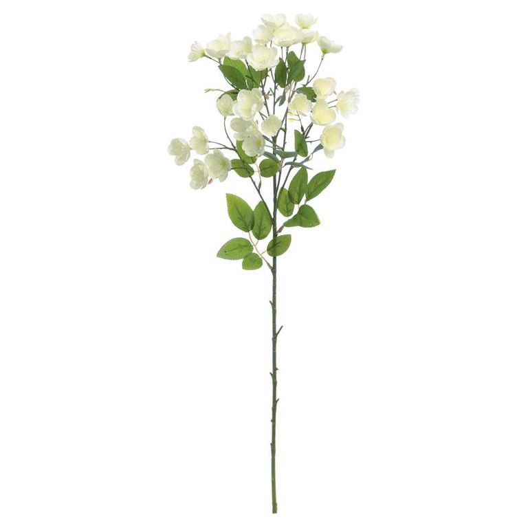 Buttercup Spray
