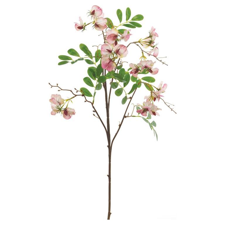 Sweet Pea Spray