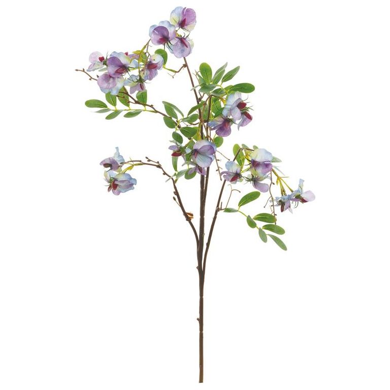 Sweet Pea Spray