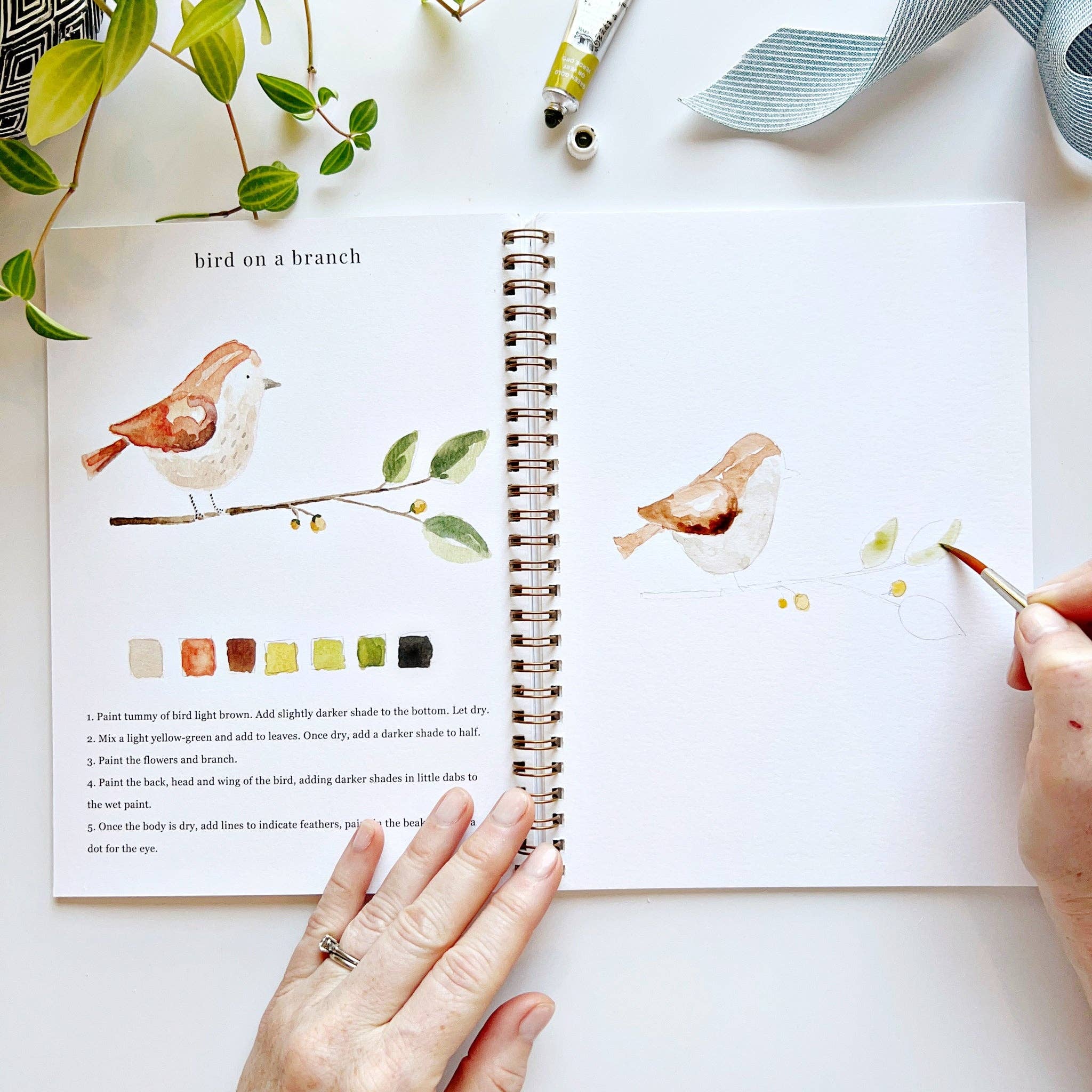 Watercolor Workbook | Animals
