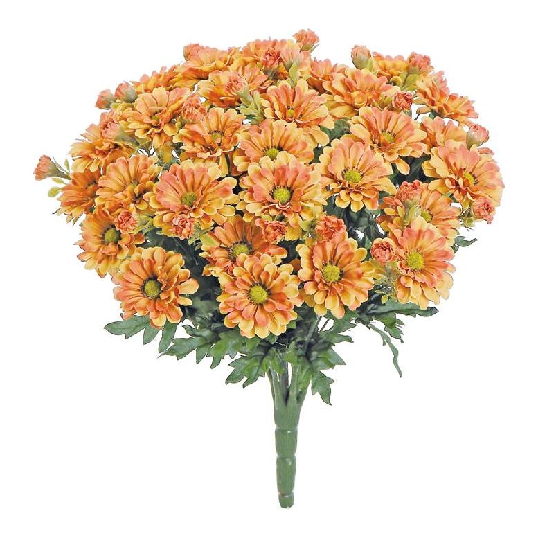 Autumn Zinnia Bush