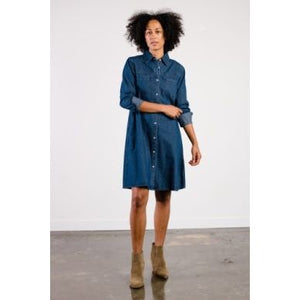 Kate Denim Swing Dress