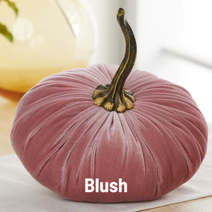 Velvet Pumpkin | Extra Large - Gold