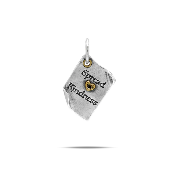 Chapters of Life Charms