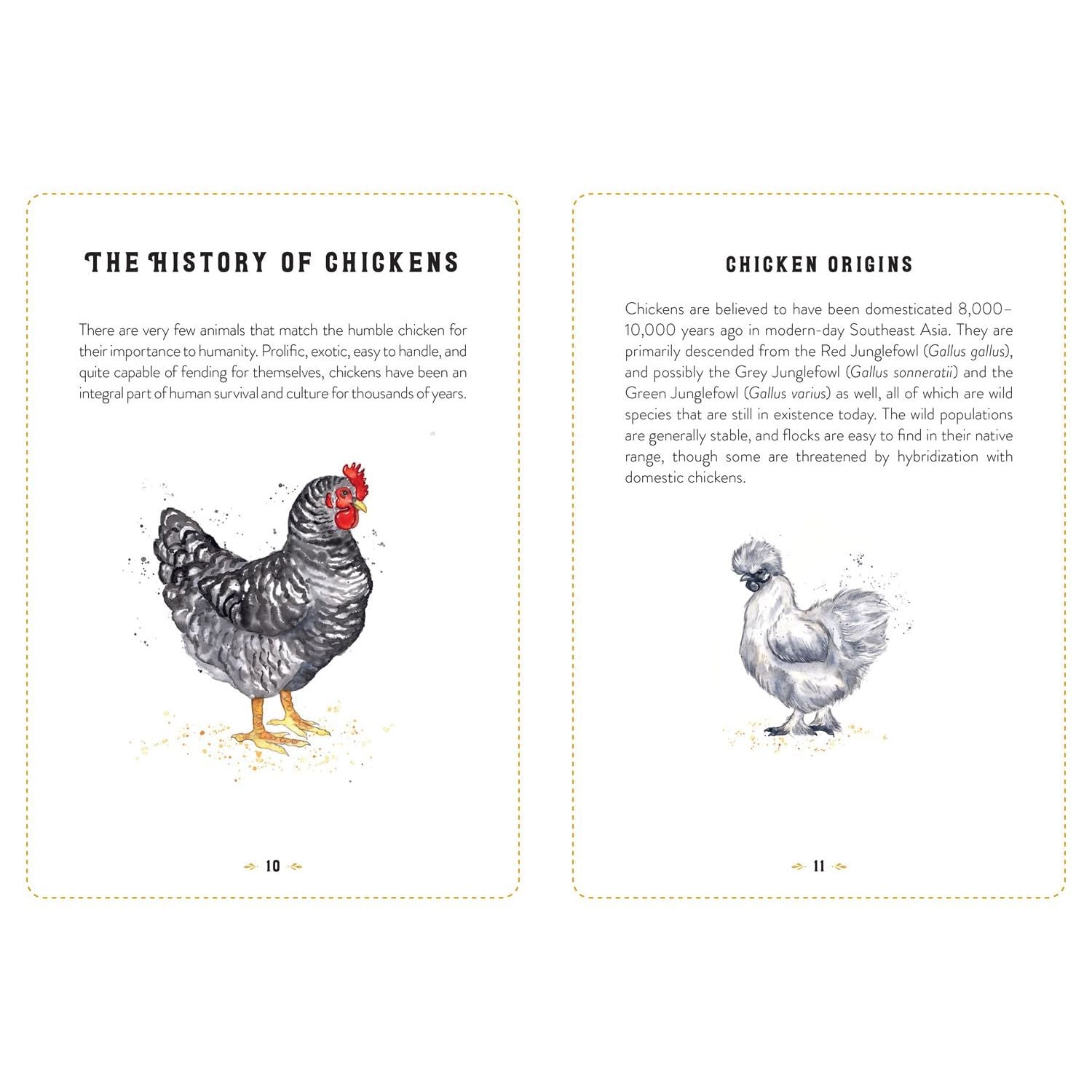The Little Book of Chickens