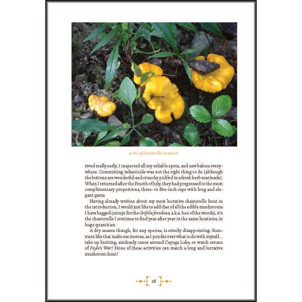 Mushroom Foraging & Feasting
