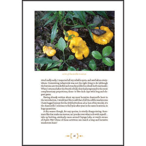 Mushroom Foraging & Feasting