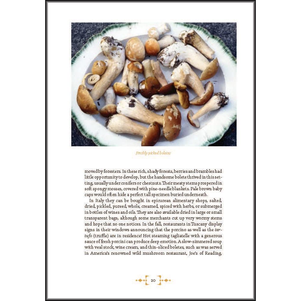 Mushroom Foraging & Feasting