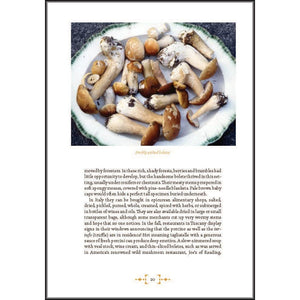 Mushroom Foraging & Feasting