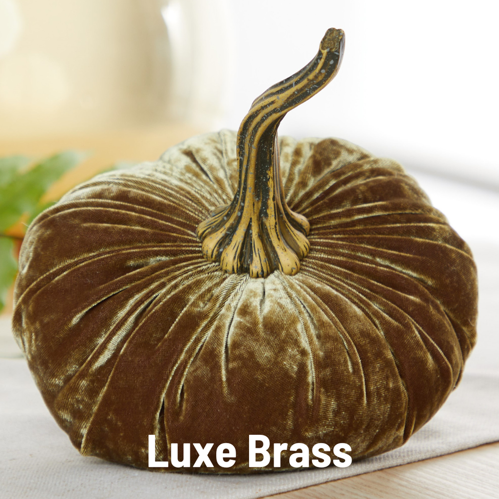 Velvet Pumpkin Large - Harvest
