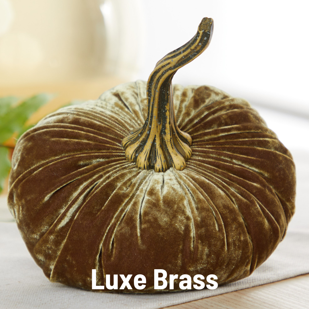Velvet Pumpkin | Large - Bronze