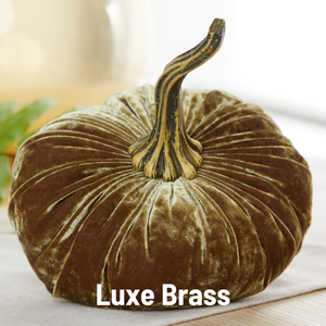Velvet Pumpkin | Large - Bronze