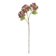 Lacecap Hydrangea Spray | Merlot