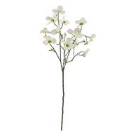 Dogwood Spray | White