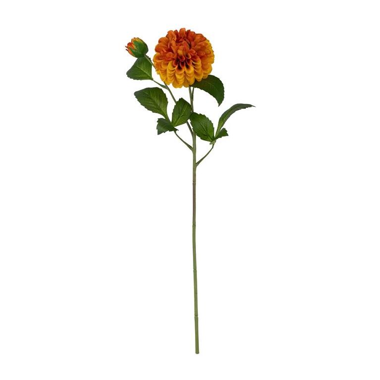 Pinnate Dahlia Spray | Orange