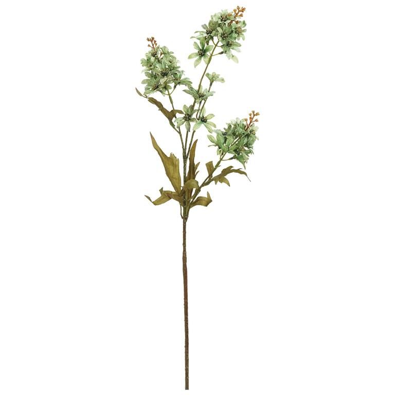 Lacecap Hydrangea Spray | Green
