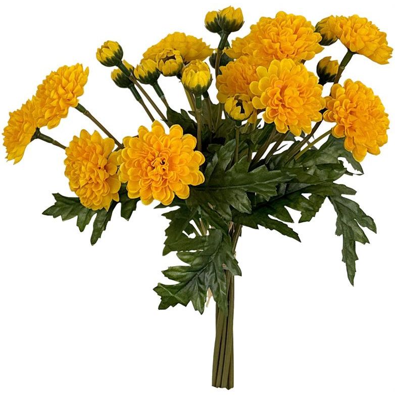 Wild Mum Bundle