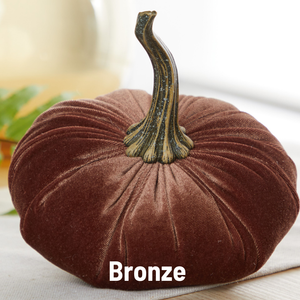 Velvet Pumpkin | Large - Bronze