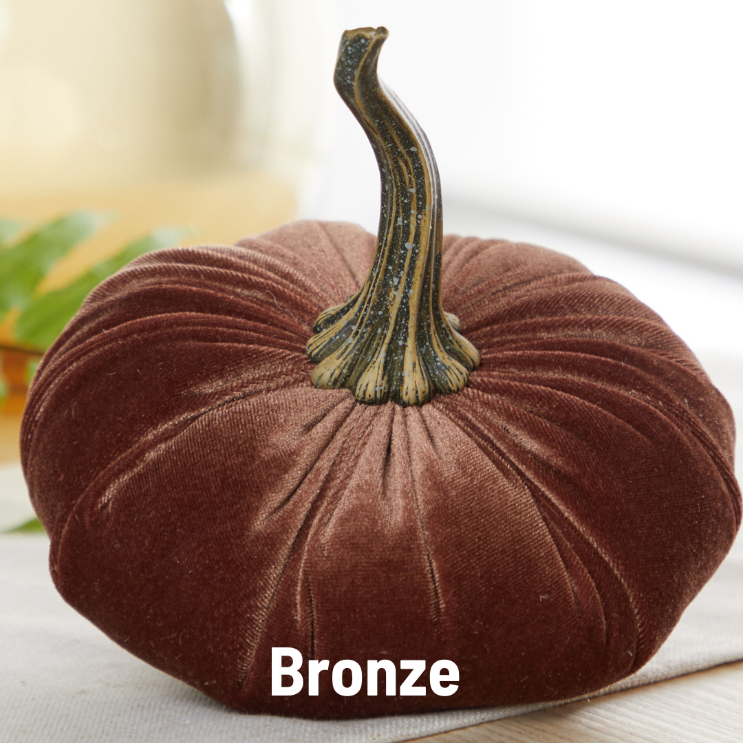 Velvet Pumpkin | Large - Bronze