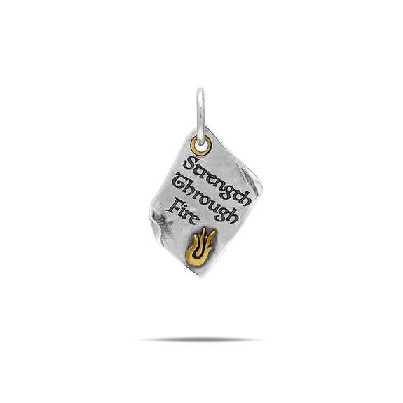 Chapters of Life Charms