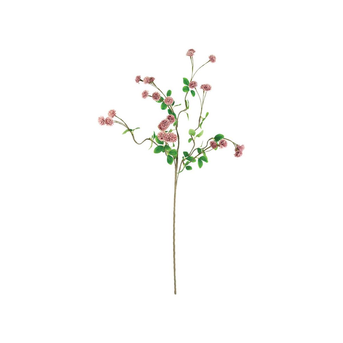 Botanica #3473