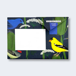 Pigeon Letter Pack | Carnival of Colour