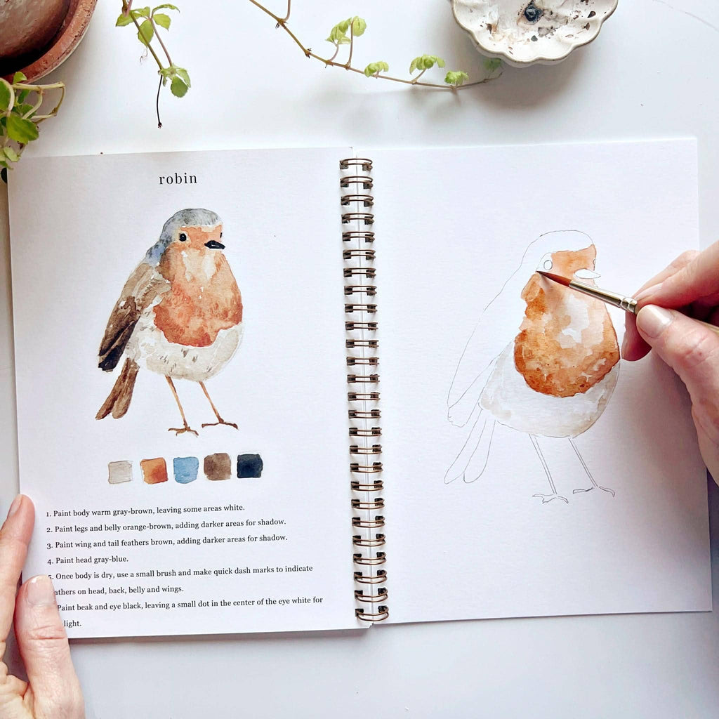 Watercolor Workbook | Birds