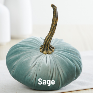 Velvet  Pumpkin | Small - Avocado