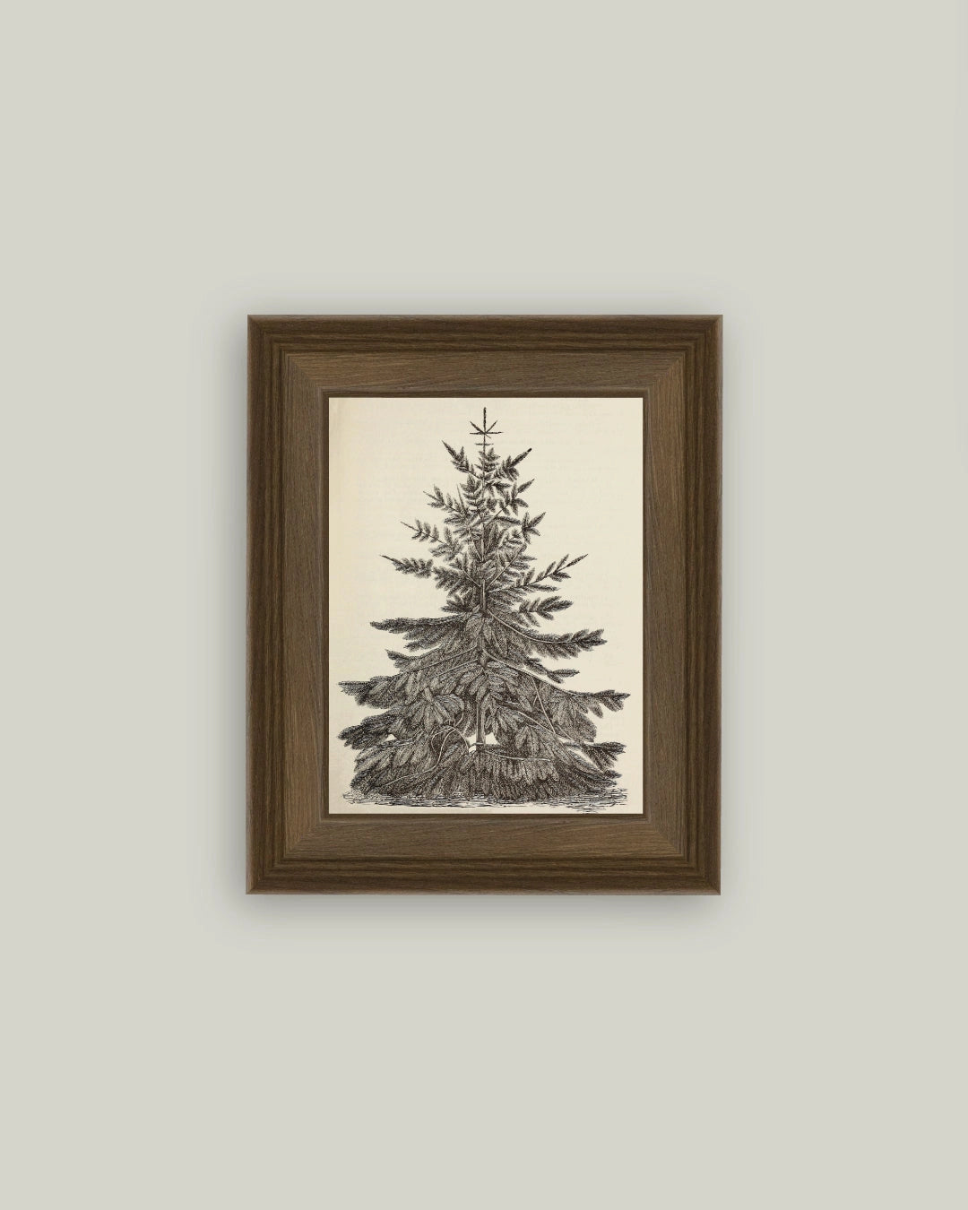 Vintage Pine Tree Framed Antique Art | 8 x 10