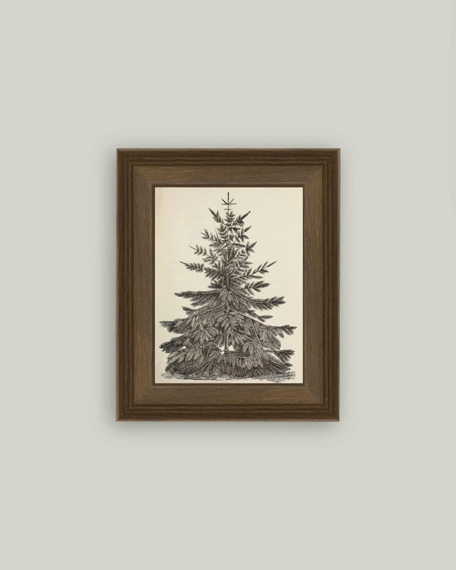 Vintage Pine Tree Framed Antique Art | 8 x 10