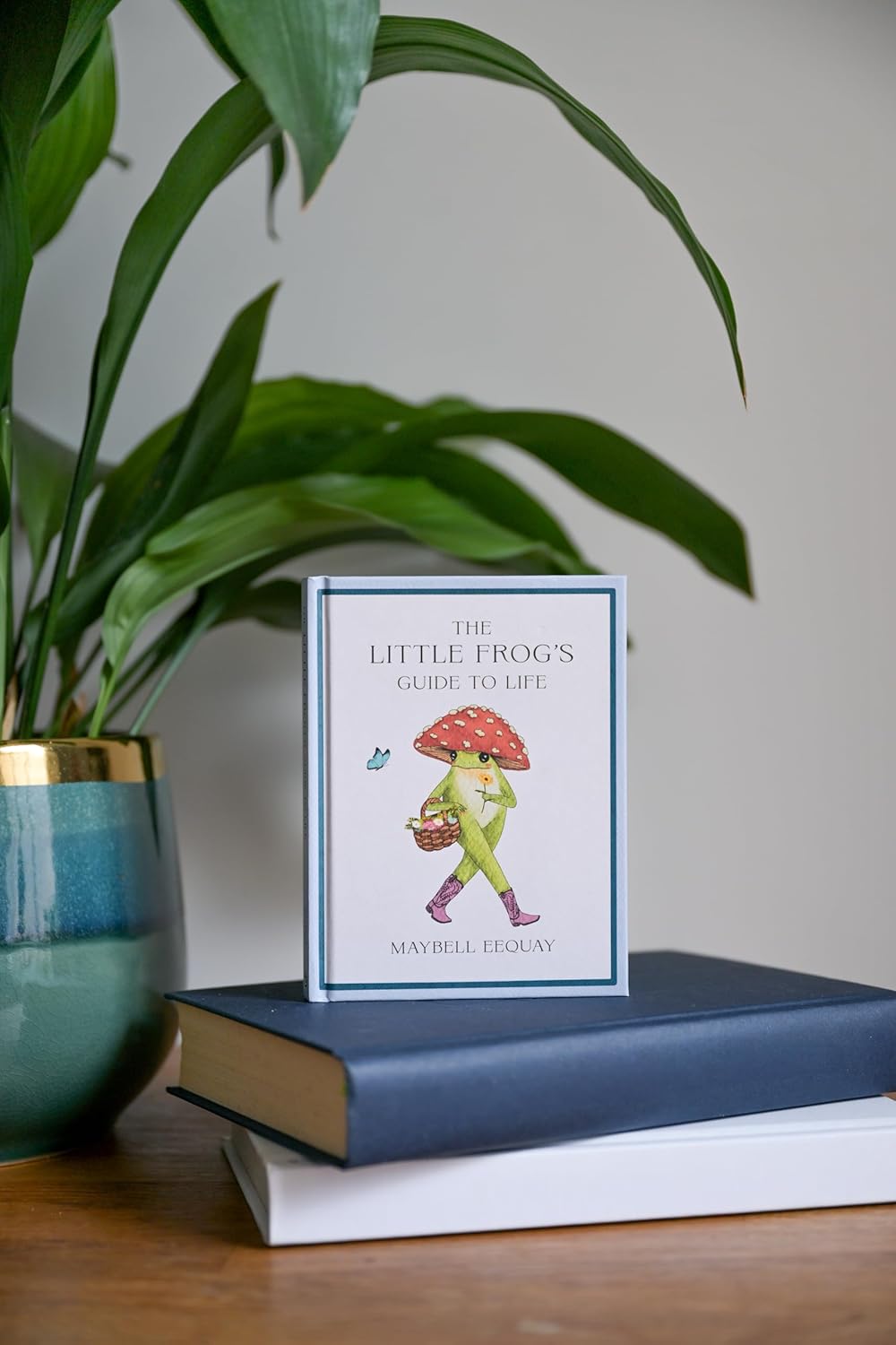 The Little Frog's Guide to Life