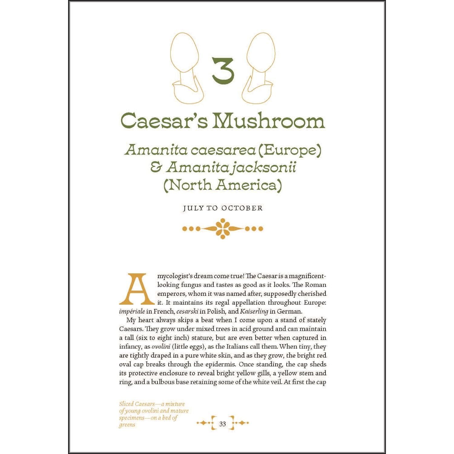 Mushroom Foraging & Feasting